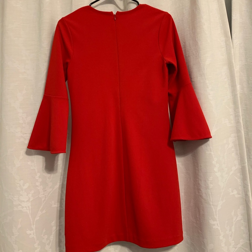 Express Dress - Picture 4 of 5